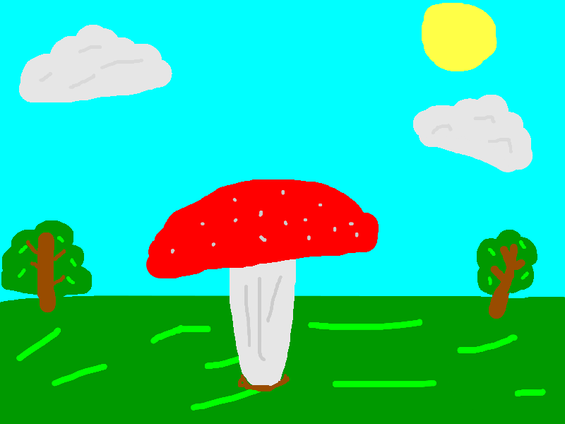 Picture