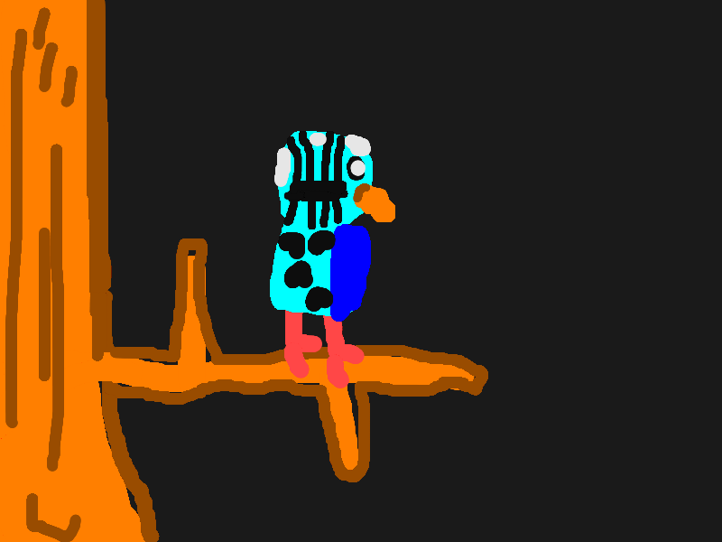 Picture